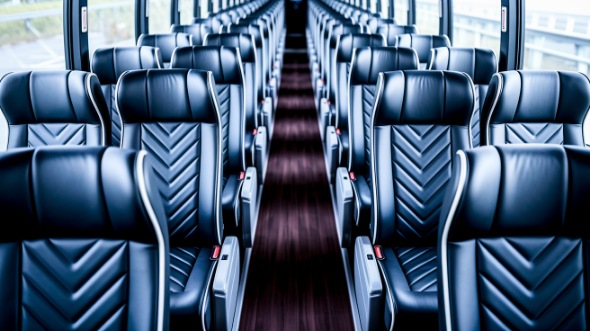 layton 55 passenger charter bus rental